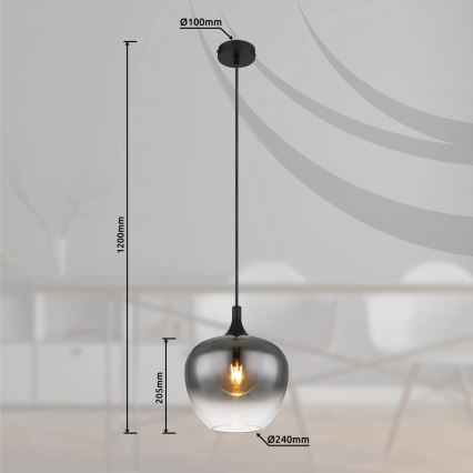 Globo - Lámpara colgante 1xE27/40W/230V diá. 24 cm negro