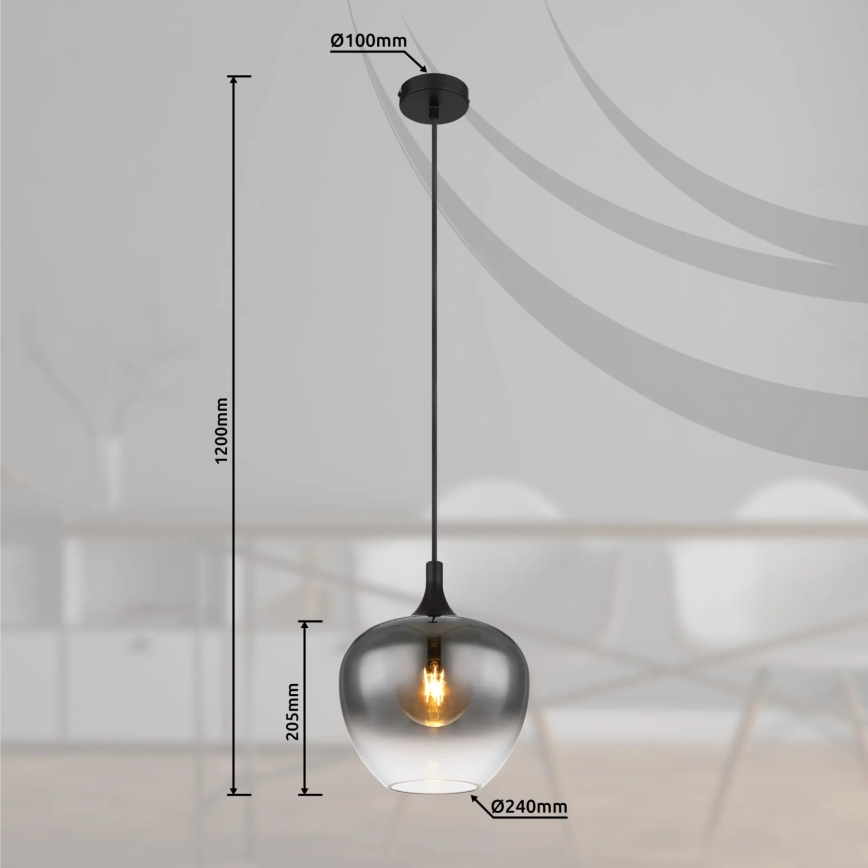 Globo - Lámpara colgante 1xE27/40W/230V diá. 24 cm negro