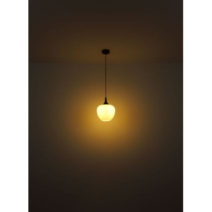Globo - Lámpara colgante 1xE27/60W/230V diá. 29 cm blanco/marrón