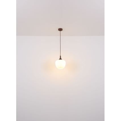 Globo - Lámpara colgante 1xE27/60W/230V diá. 29 cm blanco/marrón