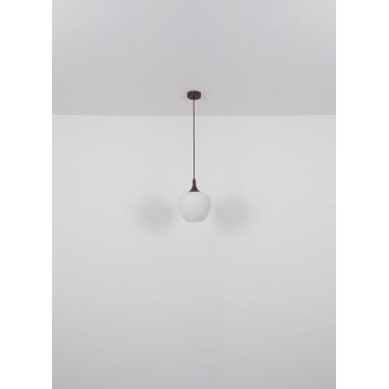 Globo - Lámpara colgante 1xE27/60W/230V diá. 29 cm blanco/marrón