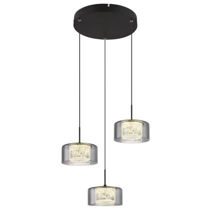 Globo - Lámpara LED colgante 3xLED/8W/230V