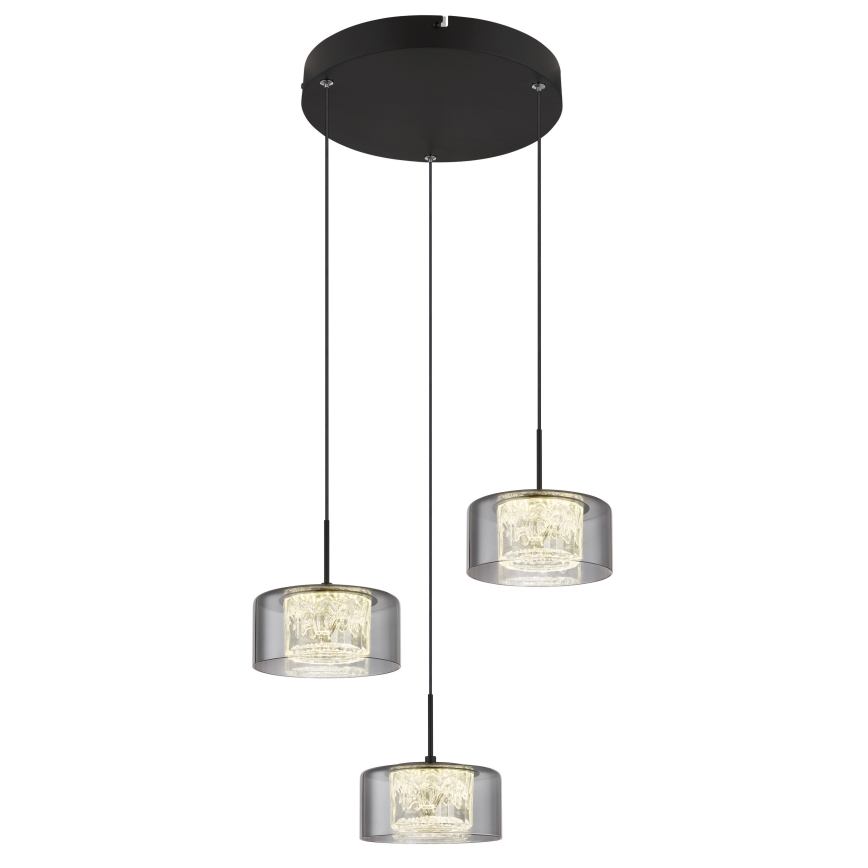 Globo - Lámpara LED colgante 3xLED/8W/230V