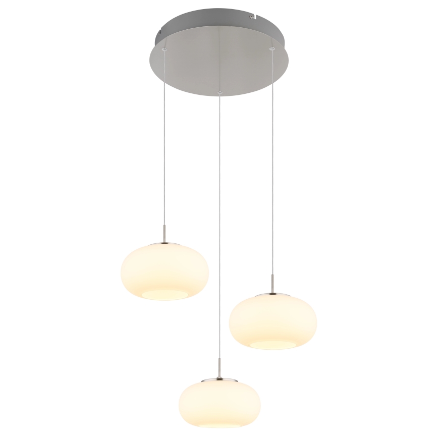 Globo - Lámpara LED colgante 3xLED/6W/230V