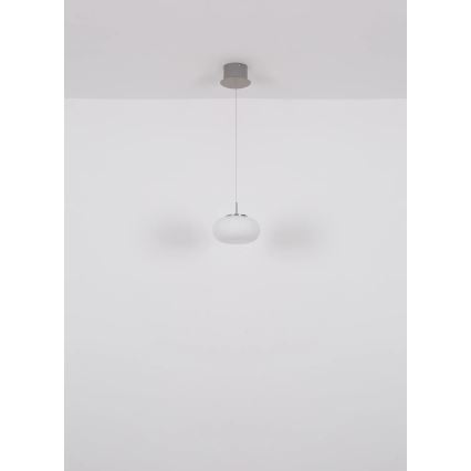 Globo - Lámpara LED colgante LED/6W/230V blanco