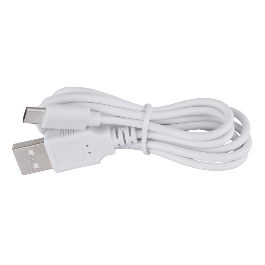 Globo - Lámpara de mesa regulable LED táctil LED/2W/5V 1200 mAh USB transparente