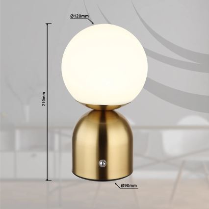 Globo - Lámpara de mesa regulable LED táctil LED/2,5W/3,7V 2700K/4000K/6500K 1800 mAh USB latón