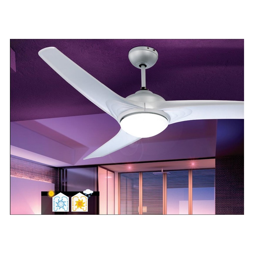 GLOBO 0305 - Ventilador de techo PRIMO 2xE14/40W/230V