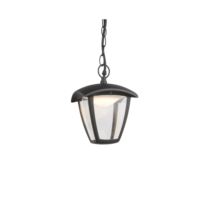 Globo - Lámpara colgante LED de exterior LED/7W/230V IP54