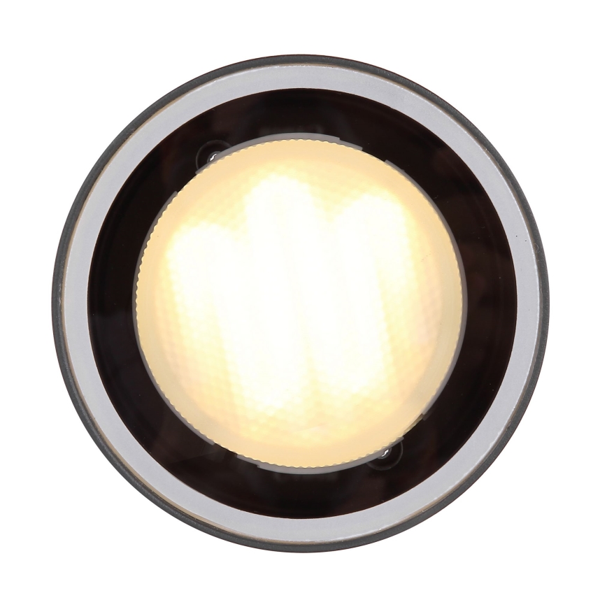 Globo - Plafón de exterior 1xGX53/11W/230V IP44