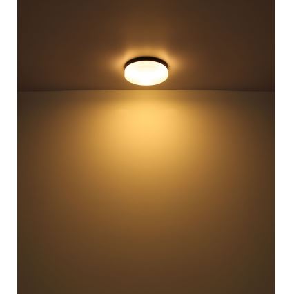 Globo - Lámpara de baño 1xE27/60W/230V 18,4 cm IP44