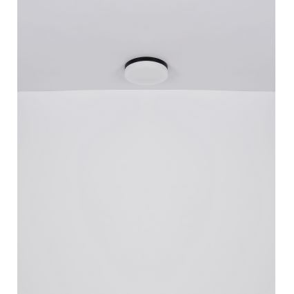 Globo - Lámpara de baño 1xE27/60W/230V 18,4 cm IP44