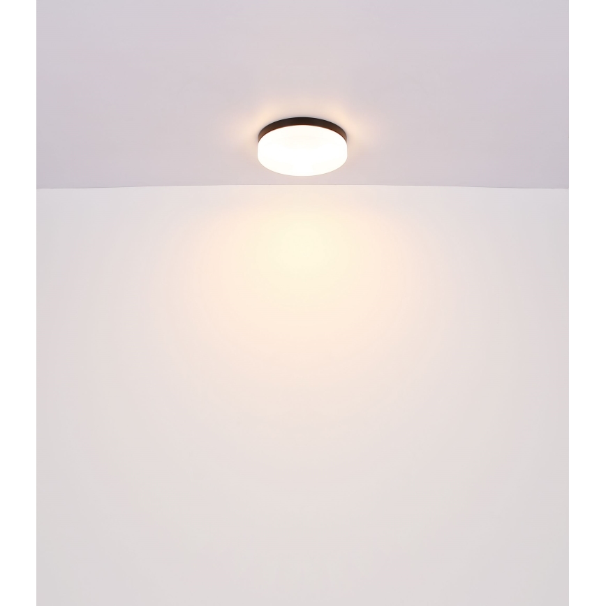 Globo - Lámpara de baño 2xE27/60W/230V d. 24 cm IP44