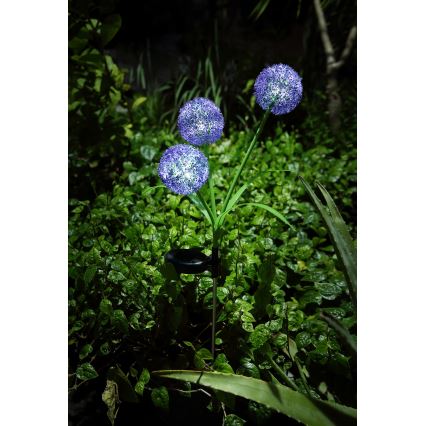 Globo - Lámpara solar LED 3xLED/0,06W/3V 5000K IP44 morada