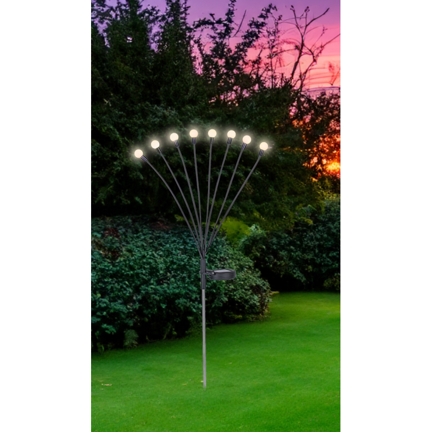 Globo - Lámpara solar LED 8xLED/0,06W/3,2V 3000K IP44 300 mAh