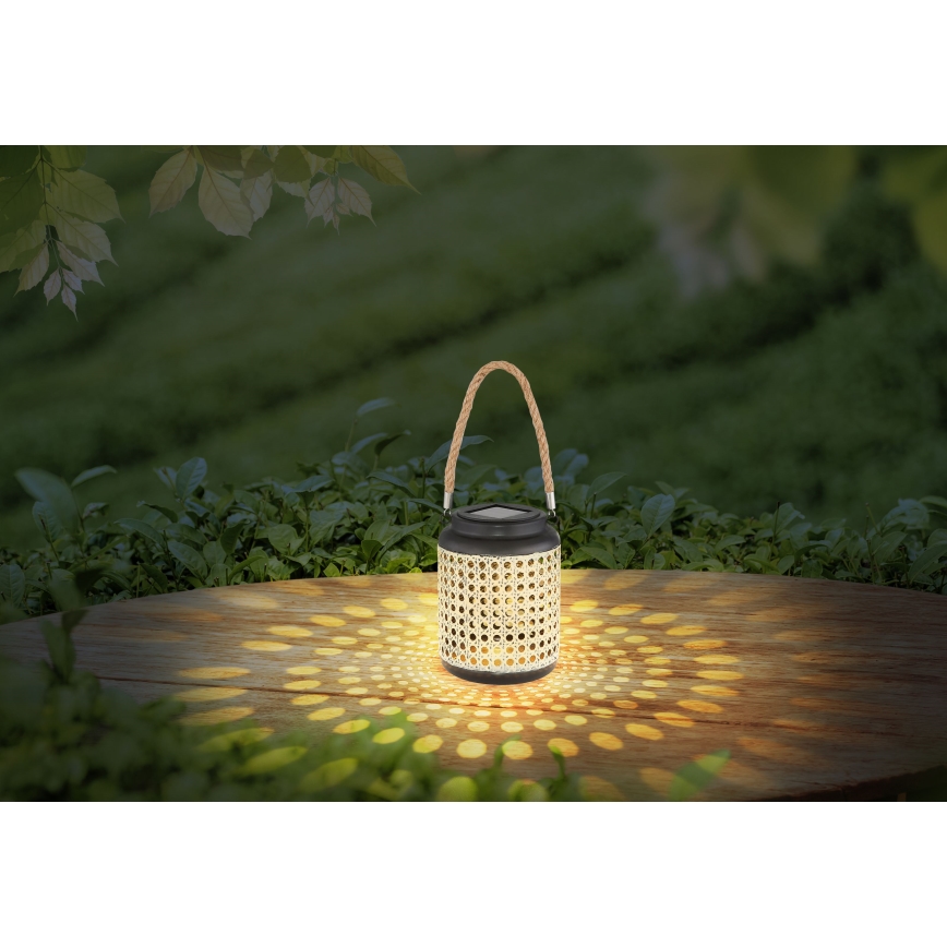 Globo - Lámpara solar LED LED/0,06W/3V 3000K IP44 bambú
