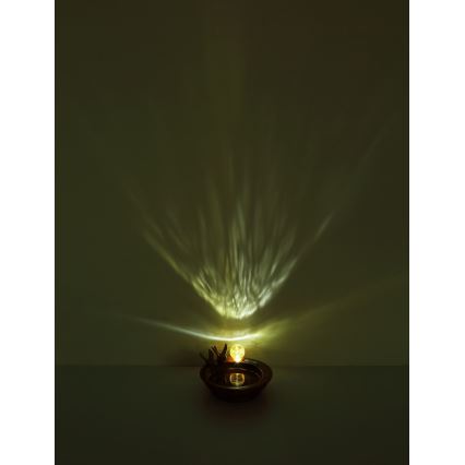 Globo - Lámpara solar LED LED/0,06W/3V IP44 baño para pájaros