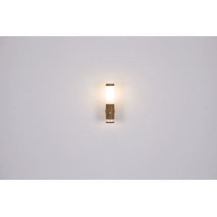Globo - Aplique de exterior 1xE27/15W/230V IP44