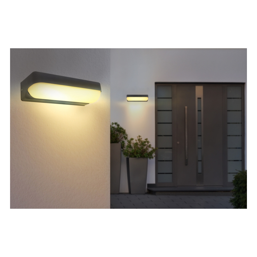 Globo - Aplique LED de exterior LED/10W/230V IP54