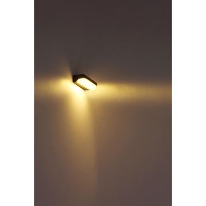 Globo - Aplique LED de exterior LED/10W/230V IP54
