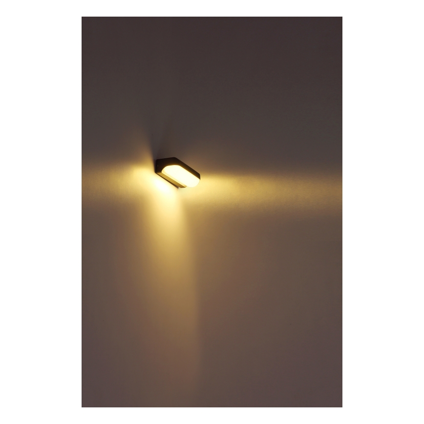 Globo - Aplique LED de exterior LED/10W/230V IP54