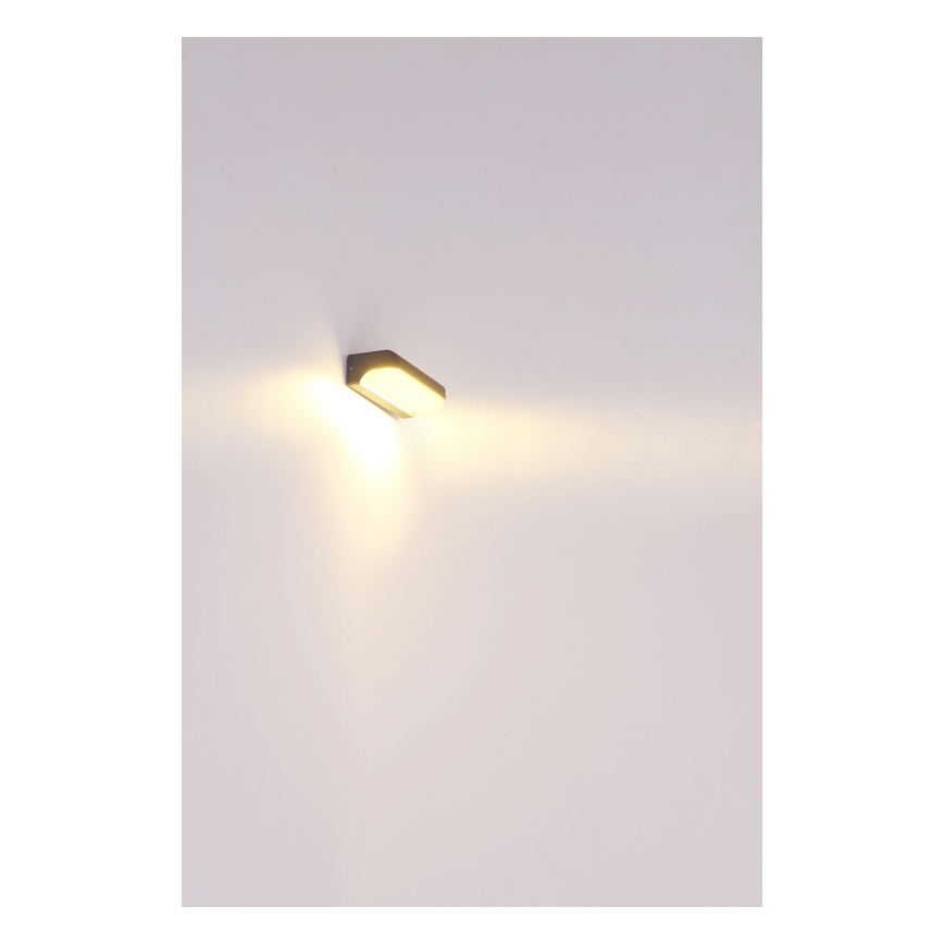 Globo - Aplique LED de exterior LED/10W/230V IP54