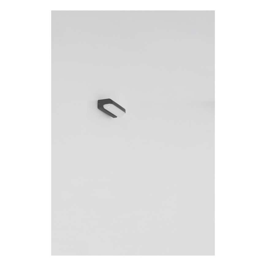 Globo - Aplique LED de exterior LED/10W/230V IP54
