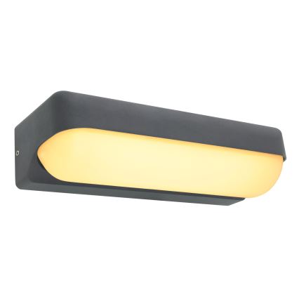 Globo - Aplique LED de exterior LED/10W/230V IP54