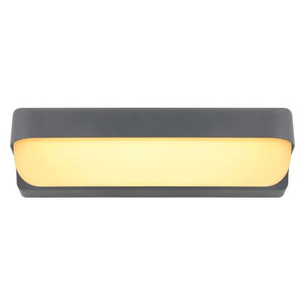 Globo - Aplique LED de exterior LED/10W/230V IP54