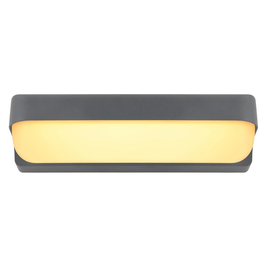Globo - Aplique LED de exterior LED/10W/230V IP54
