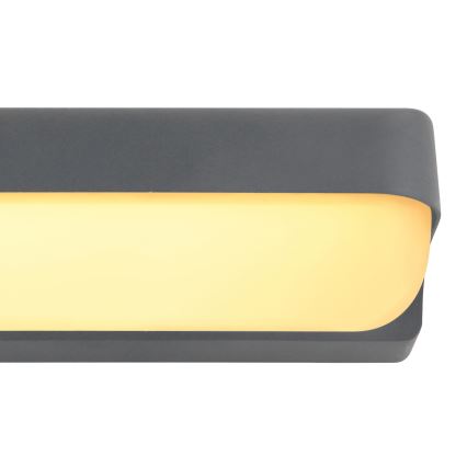 Globo - Aplique LED de exterior LED/10W/230V IP54