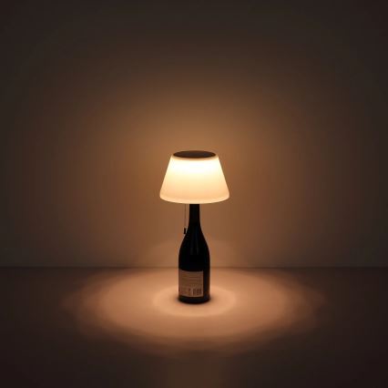 Globo - LED Pantalla para lámpara solar de botella 10xLED/1,5W/3V IP44