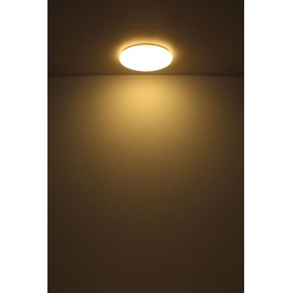 Globo - Plafón LED LED/24W/230V diá. 49,5 cm blanco