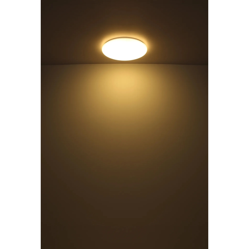 Globo - Plafón LED LED/24W/230V diá. 49,5 cm blanco
