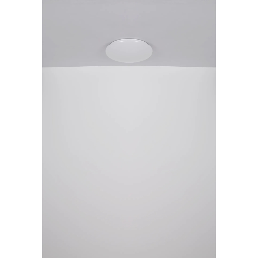 Globo - Plafón LED LED/24W/230V diá. 49,5 cm blanco