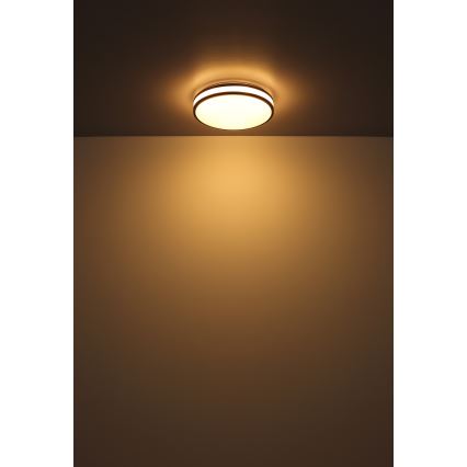 Globo - Plafón LED RGBW regulable LED/18W/230V 2700-6000K + control remoto