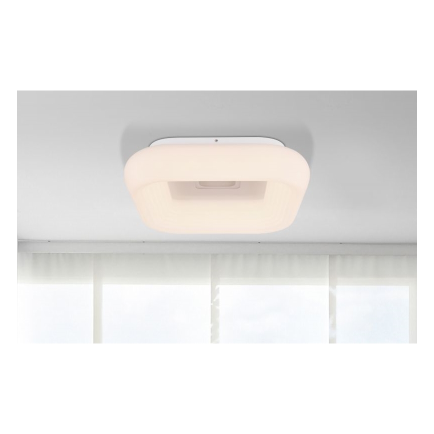 Globo - Plafón LED regulable LED/50W/230V + control remoto