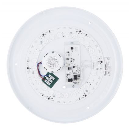 Globo - Plafón LED RGB regulable LED/24W/230V + control remoto