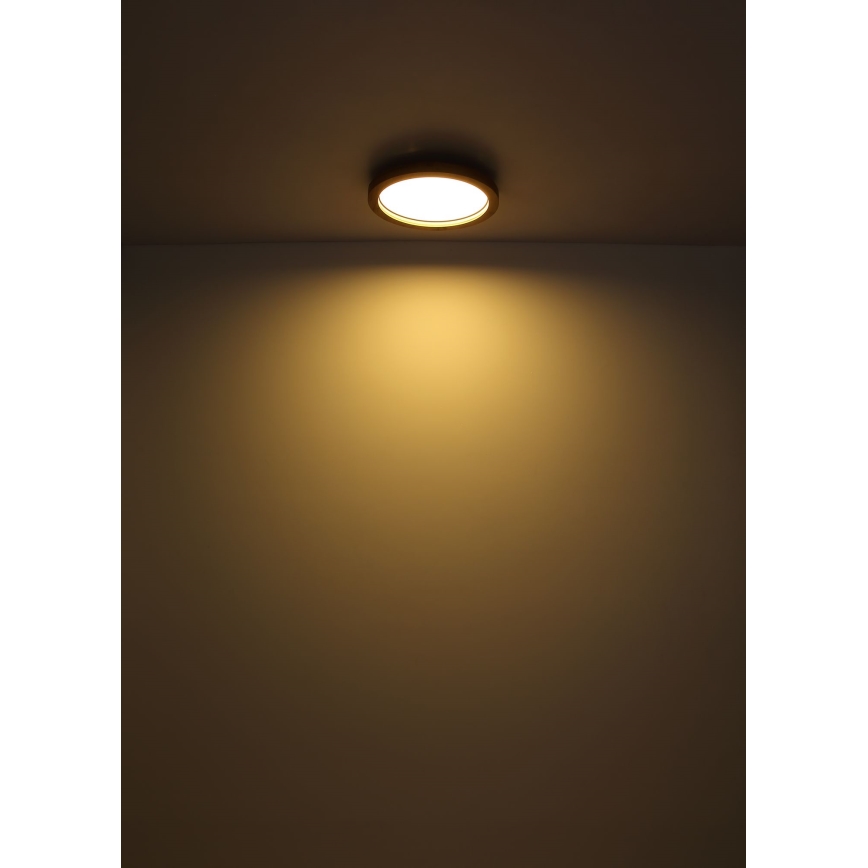Globo - Plafón LED RGBW regulable LED/24W/230V 2700-6000K + control remoto