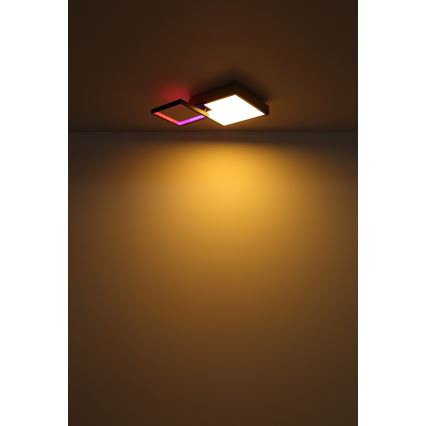 Globo - LED RGBW Lámpara regulable LED/21W/230V + LED/3W 2700-6500K + control remoto