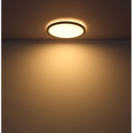 Globo - Luz de techo LED regulable para baño LED/18W/230V diá. 29,4 cm IP44 negro