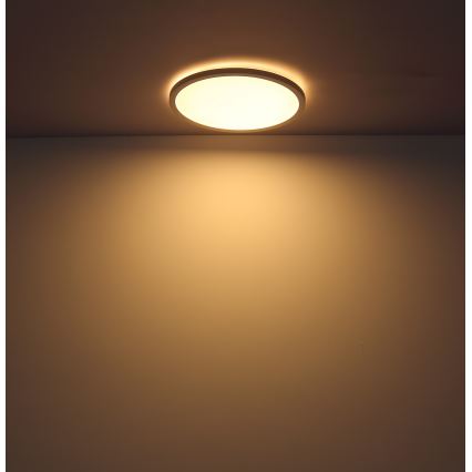 Globo - Luz de techo LED regulable para baño LED/18W/230V diá. 29,4 cm IP44 blanco