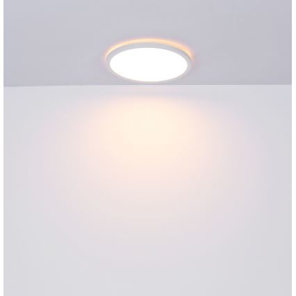 Globo - Luz de techo LED regulable para baño LED/18W/230V diá. 29,4 cm IP44 blanco