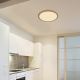 Globo - Luz de techo LED regulable para baño LED/24W/230V diá. 42 cm IP44 marrón