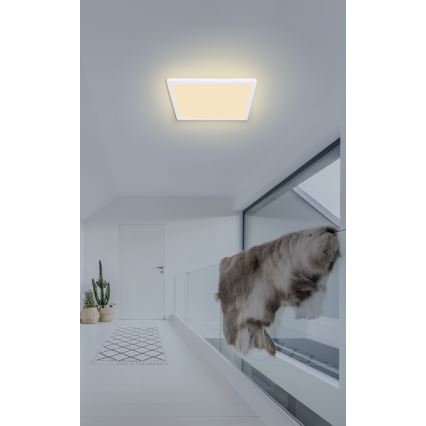 Globo - Luz de techo LED regulable para baño LED/18W/230V 29,4x29,4 cm IP44 blanco