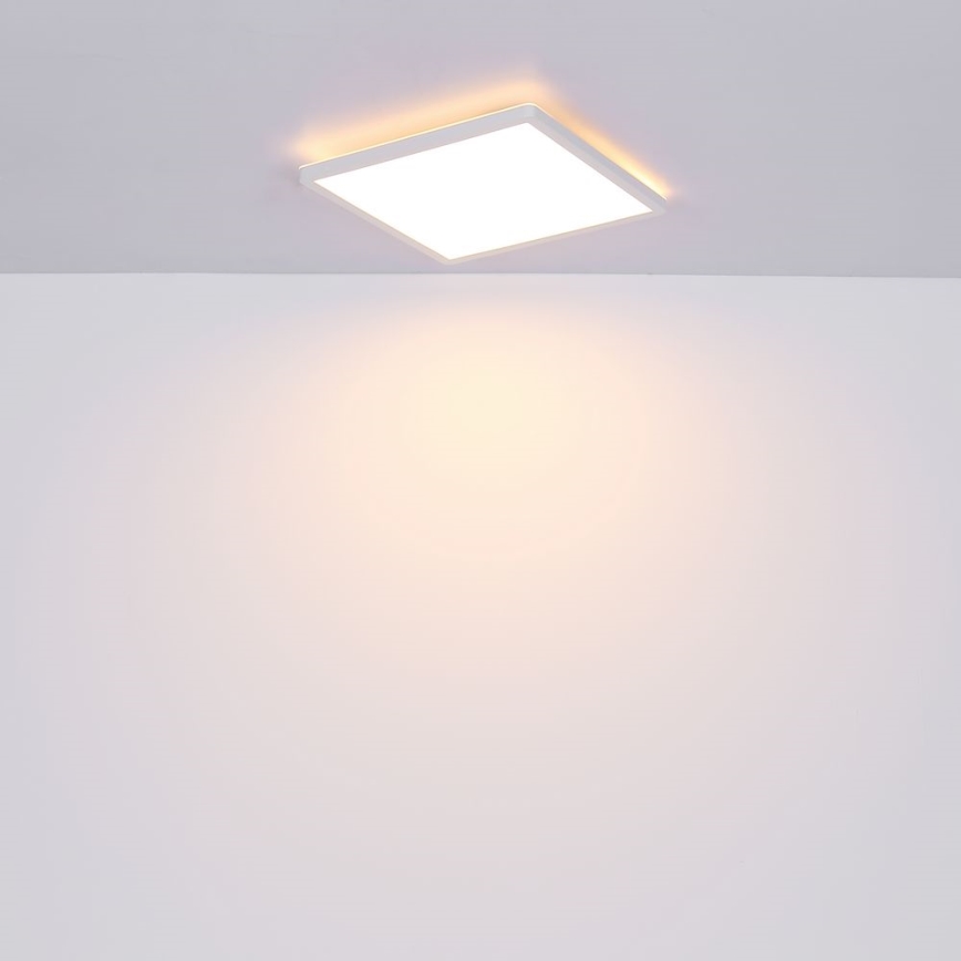 Globo - Plafón de baño LED regulable LED/24W/230V 42x42 cm IP44 blanco