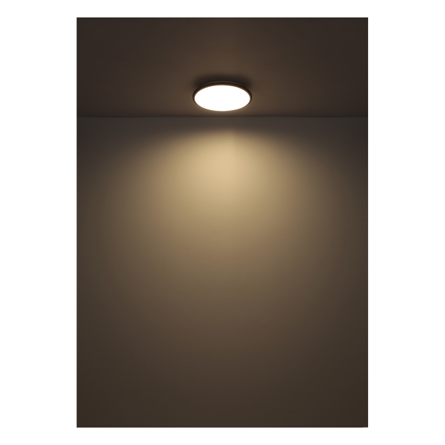 Globo - Plafón LED LED/18W/230V 4000K diá. 35 cm negro