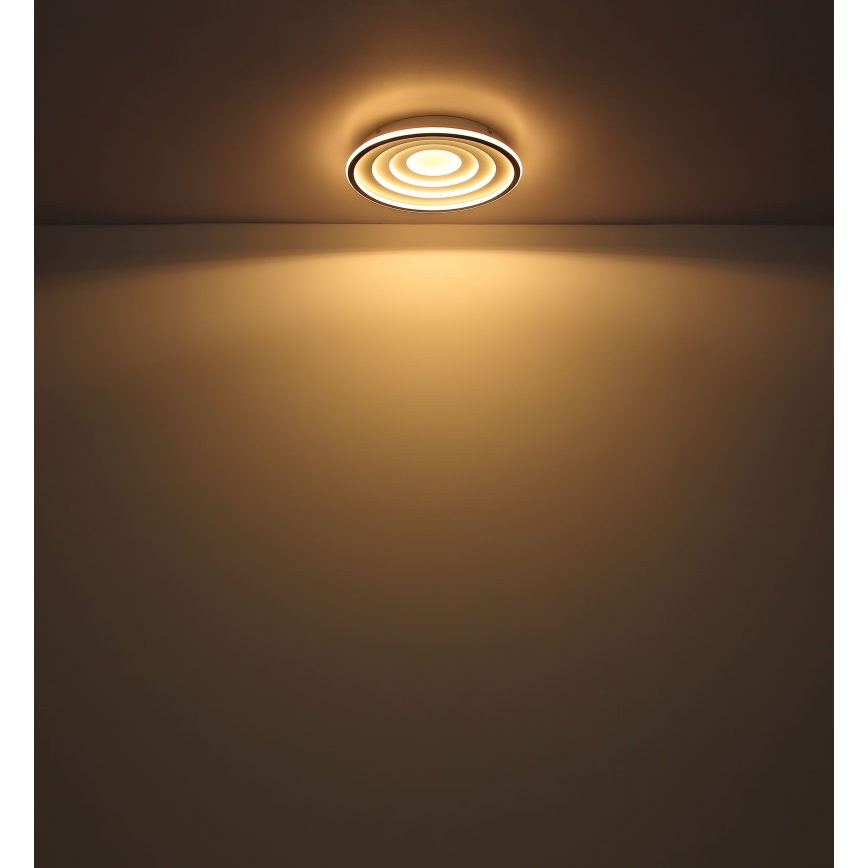 Globo - Plafón LED LED/24W/230V