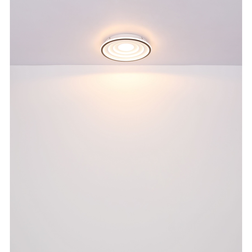 Globo - Plafón LED LED/24W/230V