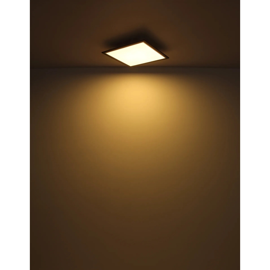 Globo - Plafón LED LED/24W/230V